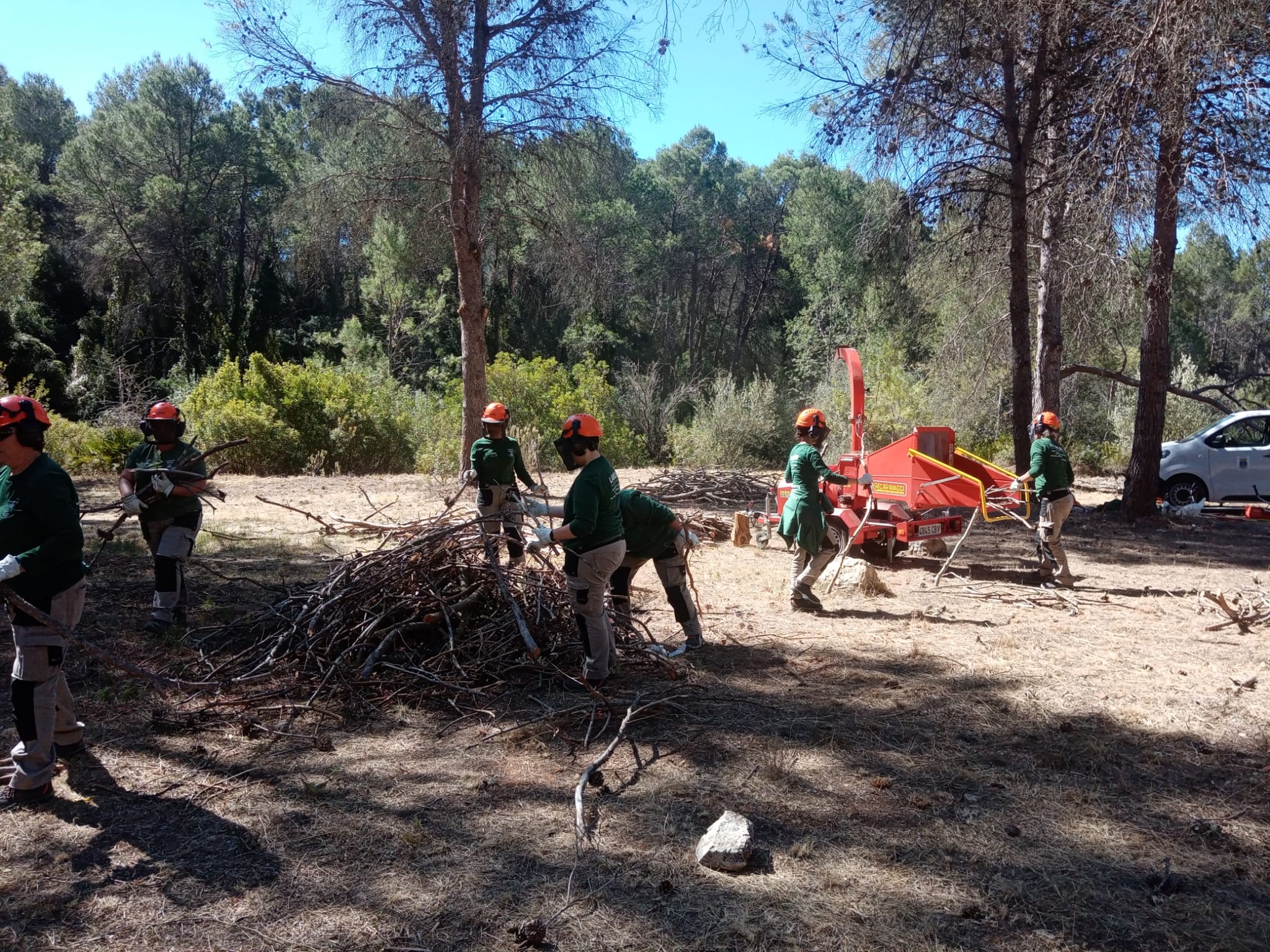 06. publicacion 23.10.24