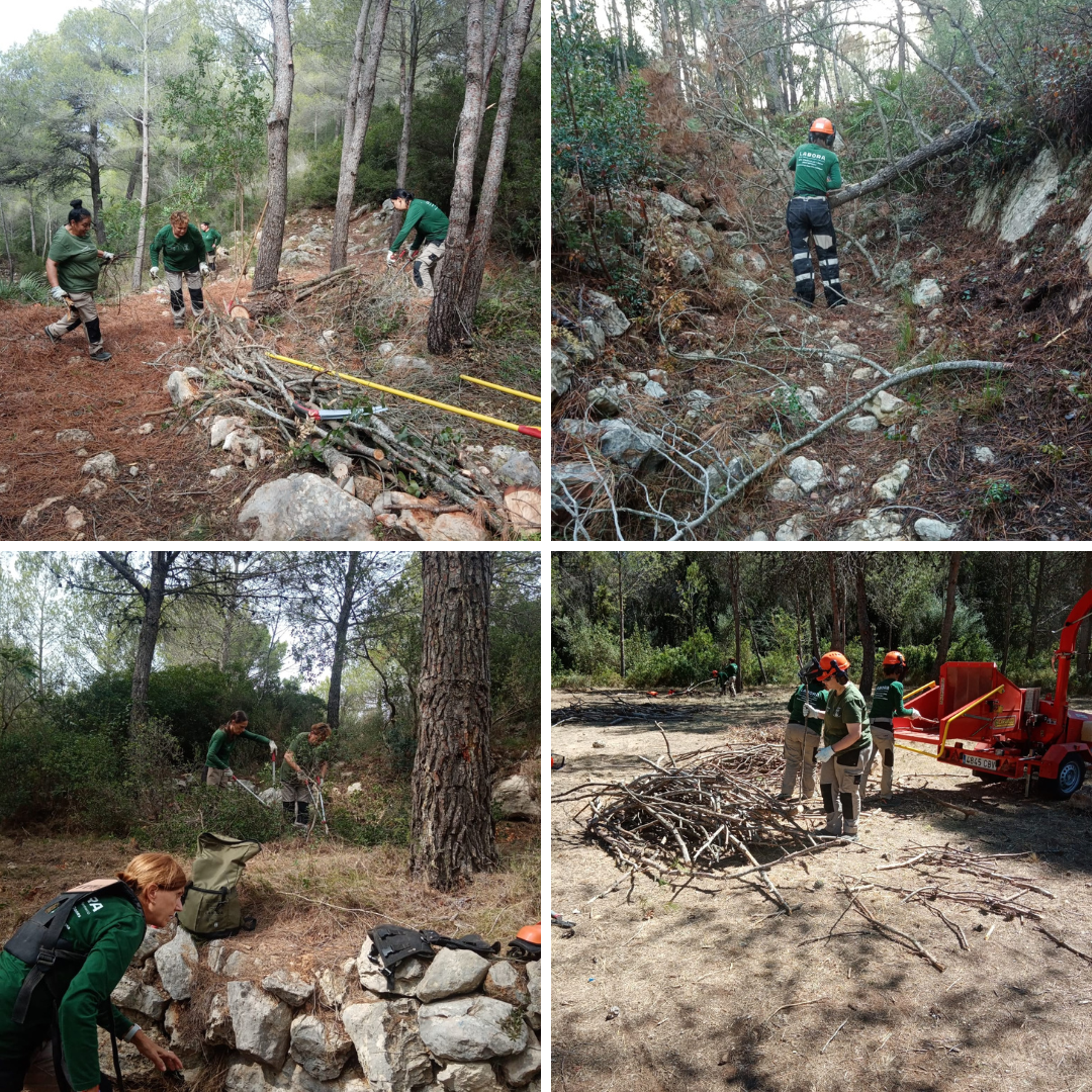 Diseño sin título 2