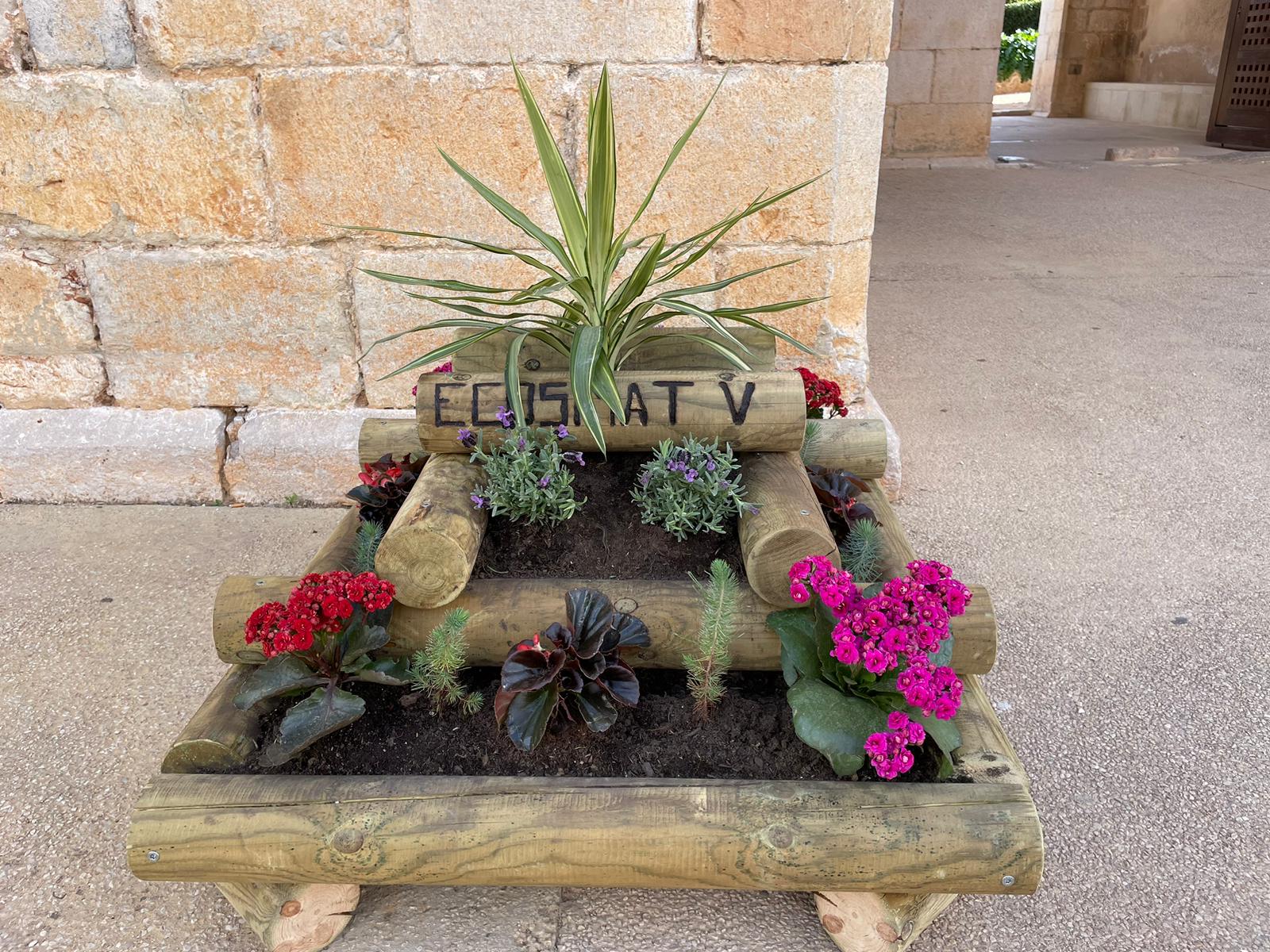 PHOTO-2024-03-08-11-00-12