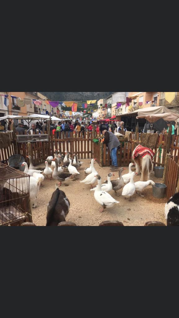 4f082dda-f22a-4248-9ae2-74ba7ebe4c96