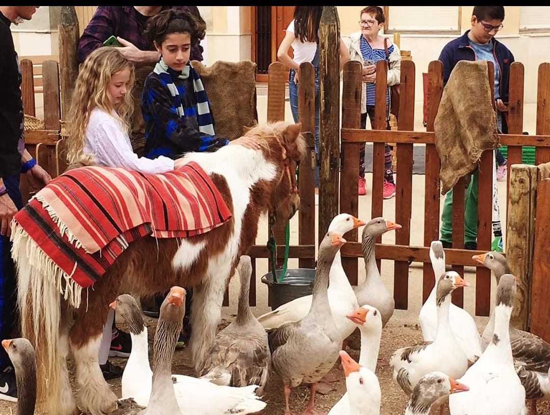 7f20fbd6-9b8e-4aa8-a583-3da705aab1b1