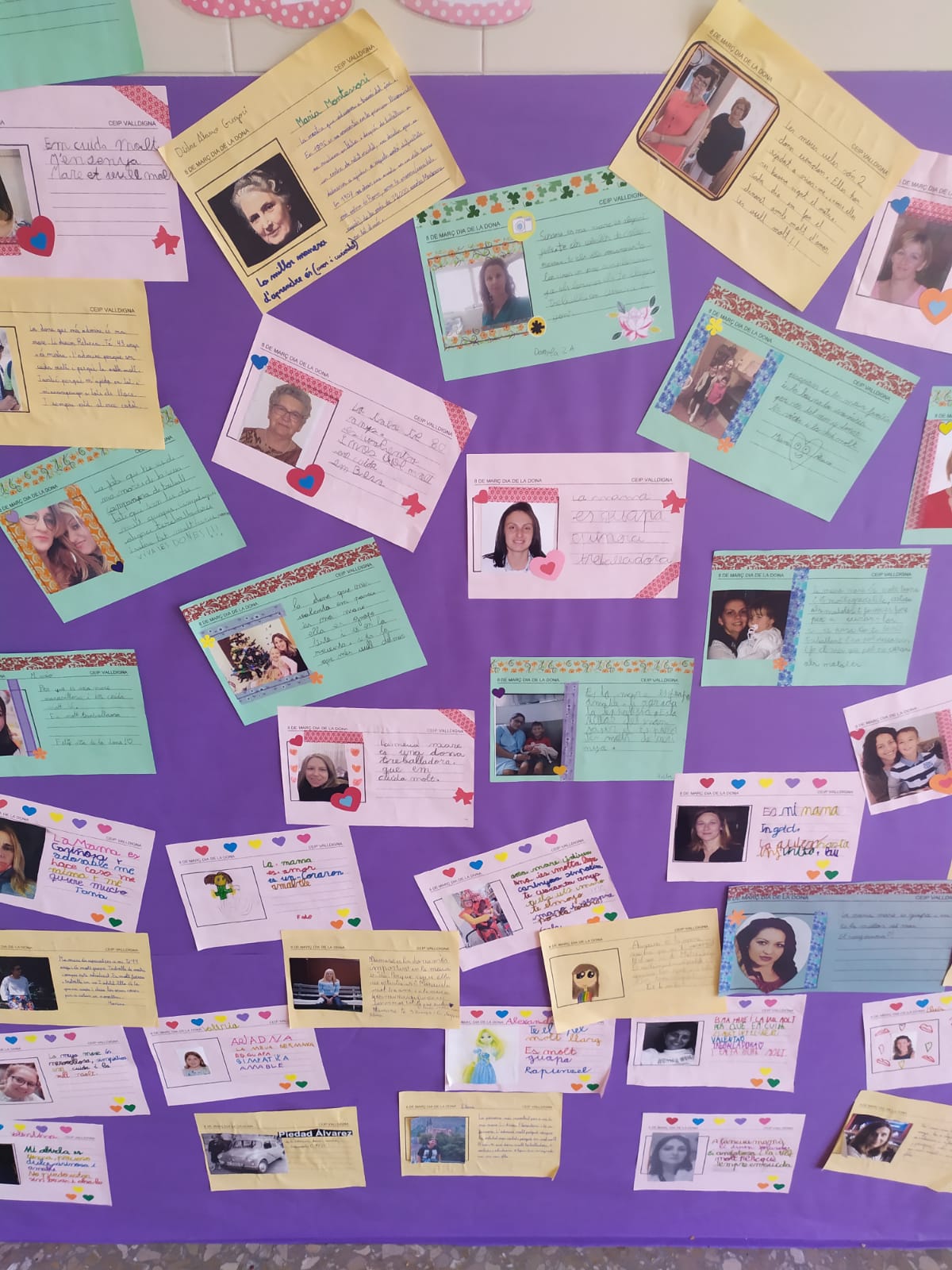 1bf39e88-d970-4719-af9f-f65d947916c4