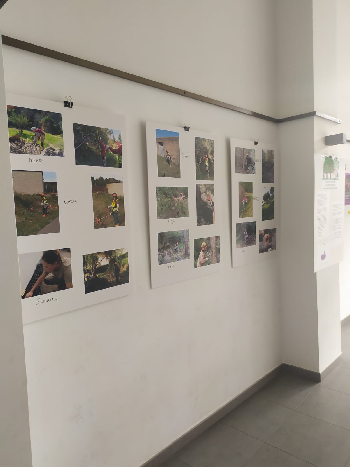 8e3fc350-4d33-46a3-ac73-d8a834937bdd