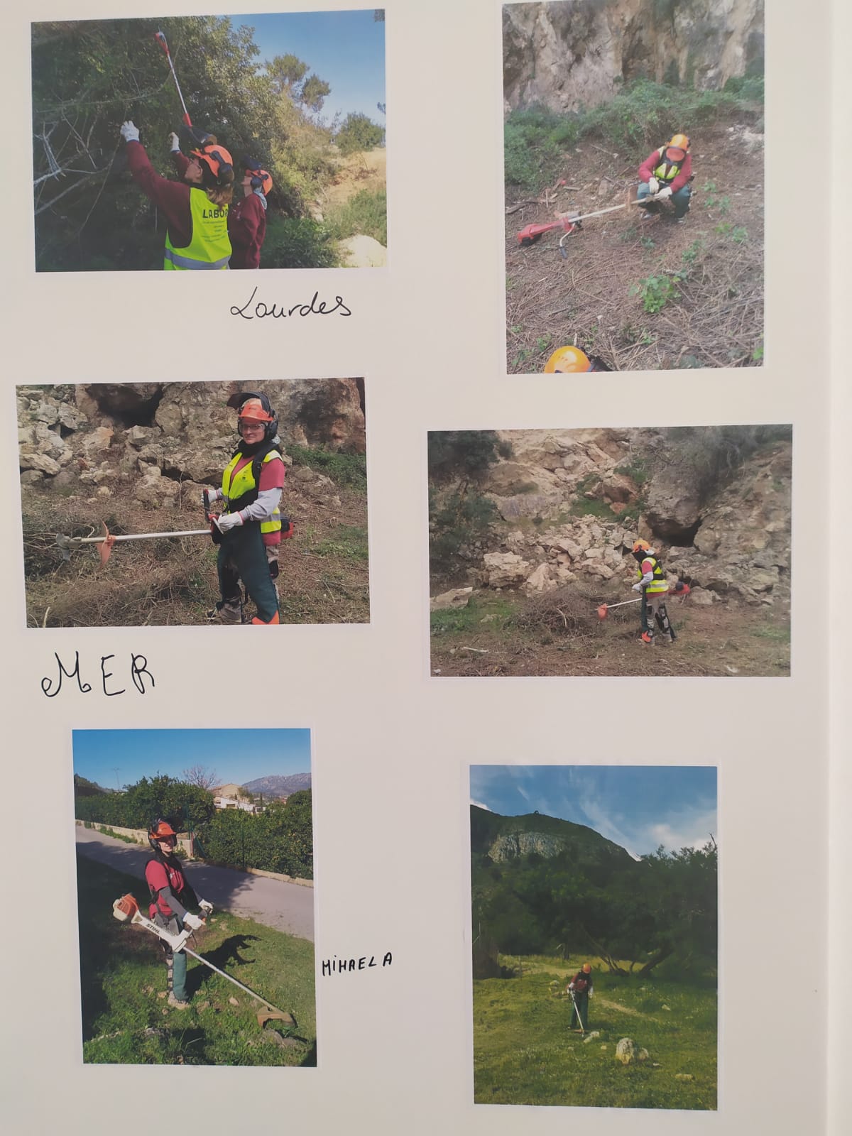 f19c0926-a3d8-4694-a608-46e2ca25fccd