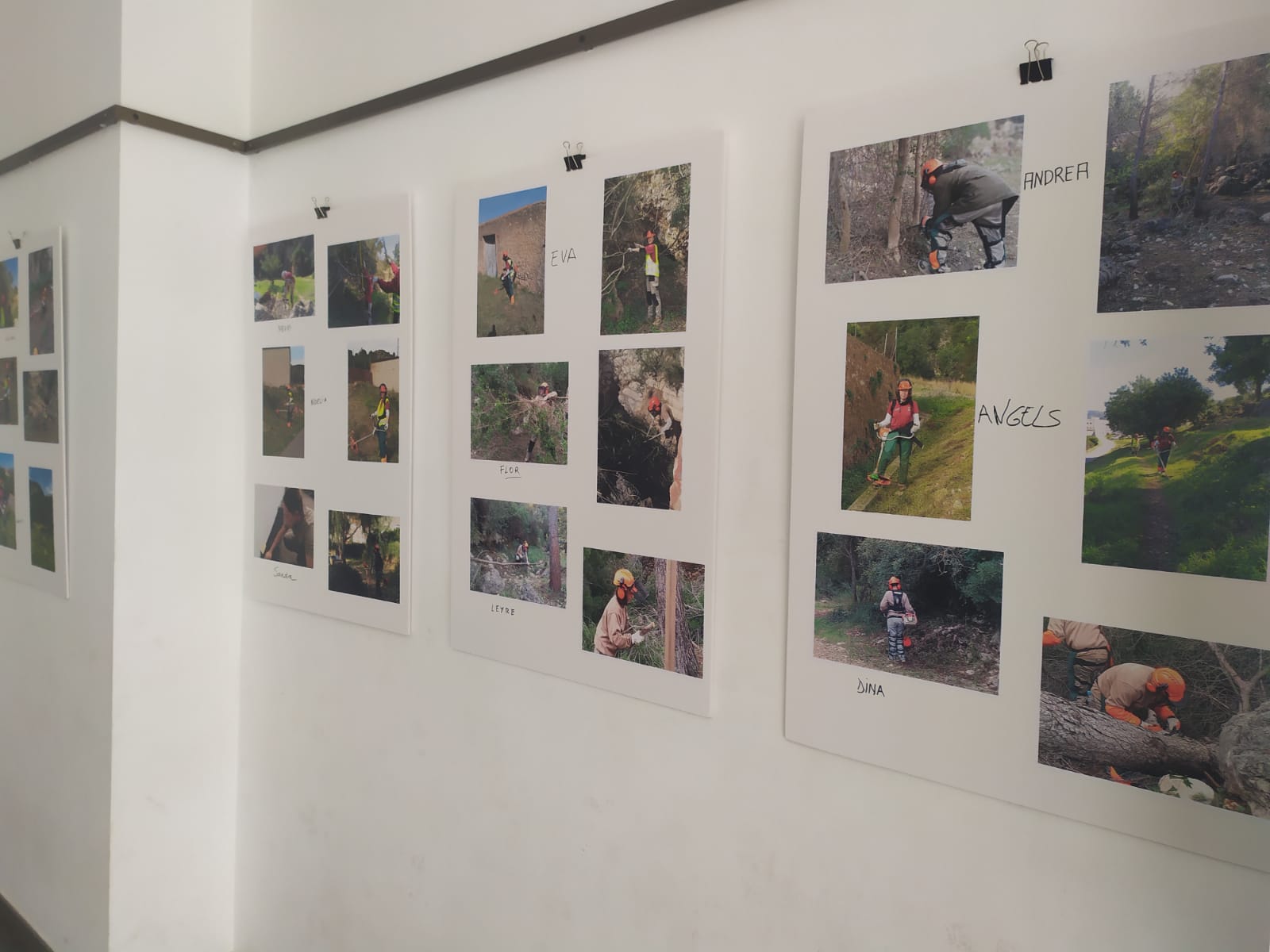 ff4e8995-9109-4d2c-88f8-e6f72bb010d0