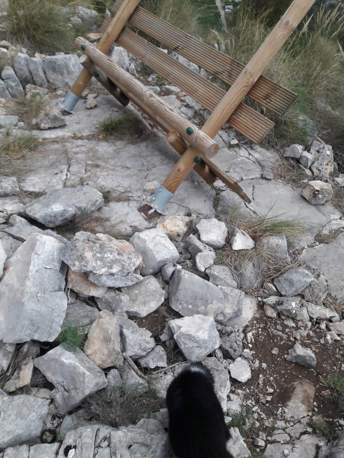 42b3ce19-529c-4932-a179-f29f1508caac