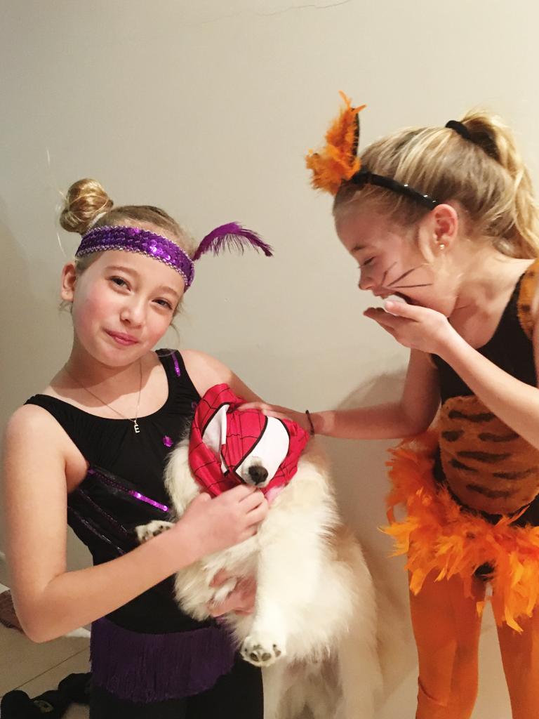 d2e2bdb1-487a-4eb0-a910-2554ad5d93a9